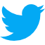 Twitter Page Icon